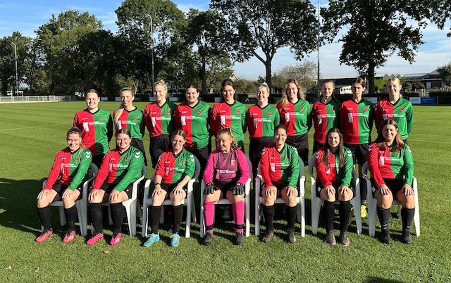 DSS'14 1e Elftal Dames